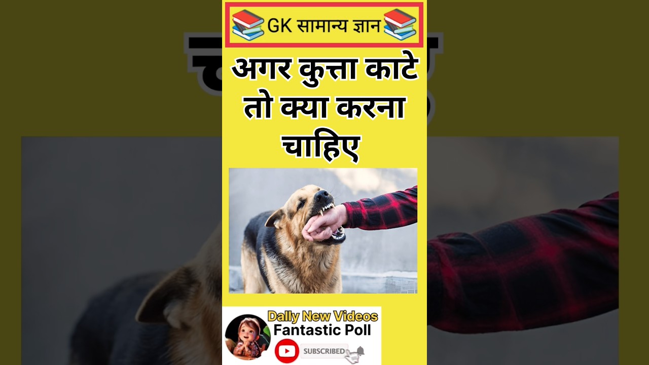 What to do if a dog bites? #gk #gkquestion #education #ytshorts #shorts |Part-1081