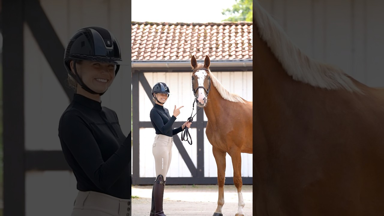 Dressagehorse or jumping horse! Which team 🐴 #dressagehorse #jumpinghorse #equestrian #couple