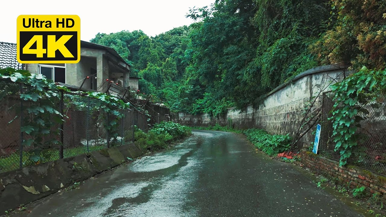 【Shanghai walk 4K】In the suburban countryside of Shanghai, feel the sound of silence in the rain