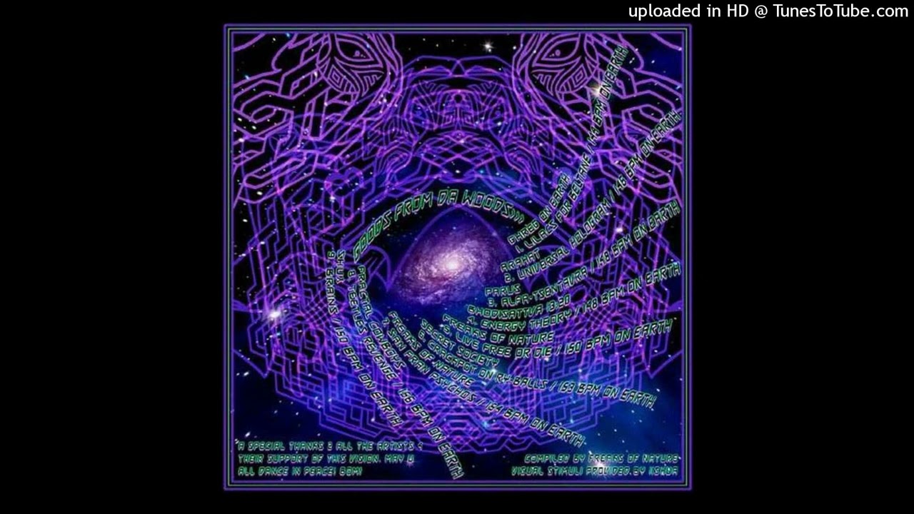 FRACTAL COWBOYS - TEETLES REVENGE