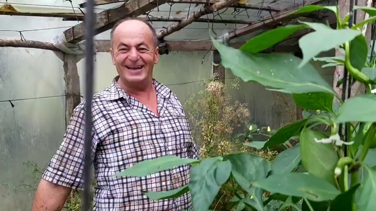 Yağmurlu bir günde bahçe işi anne ve babamın atışması izleyin