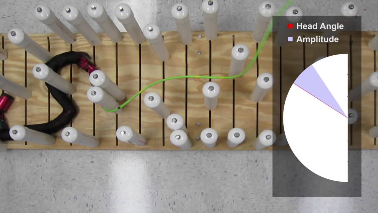 ICRA 2014 - Torque Control Strategies for Snake Robots