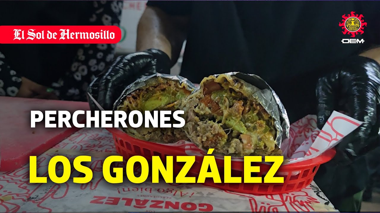 Burros Percherones Los González, de Hermosillo para el mundo, ¿serán los mejores?