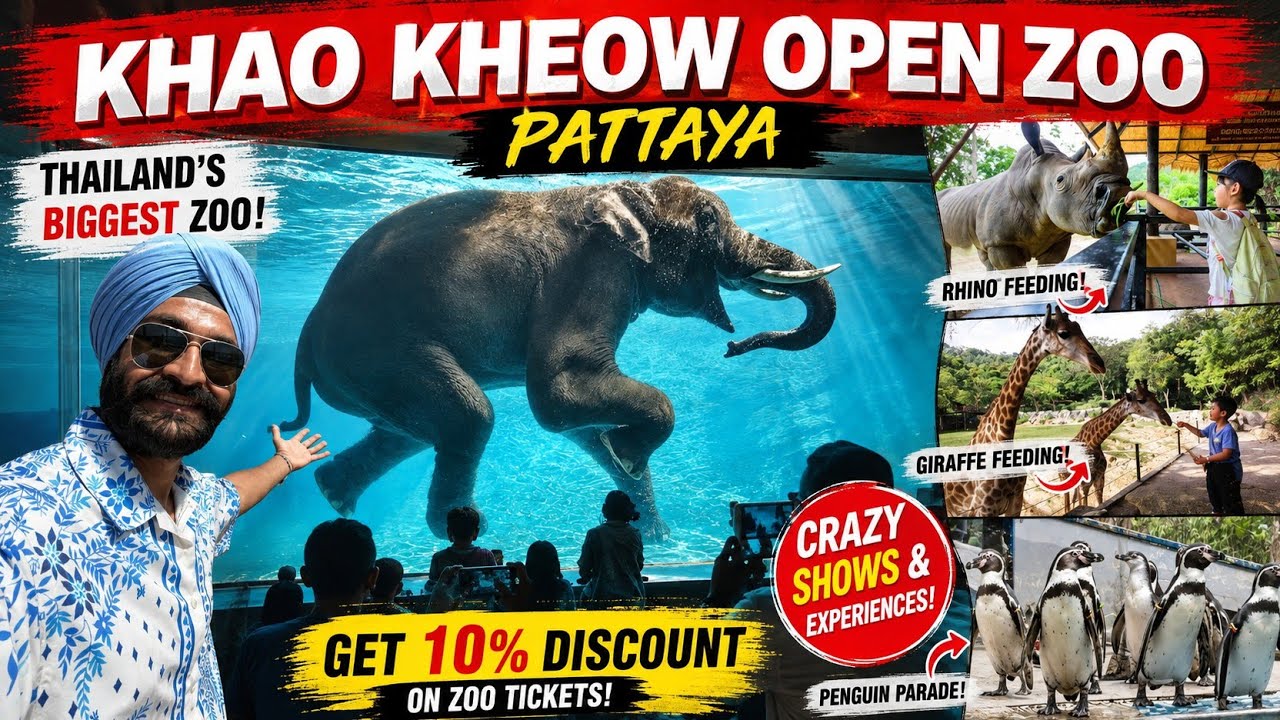 Khao kheow open zoo pattaya tour | Khao kheow open zoo thailand | Khao kheow zoo thailand pattaya