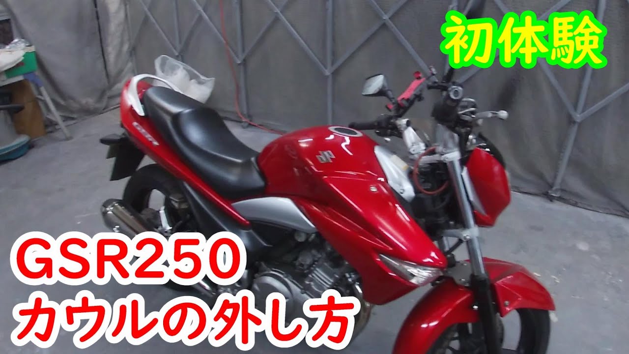 【GSR250】初体験！今後の為にカウルを外してみる