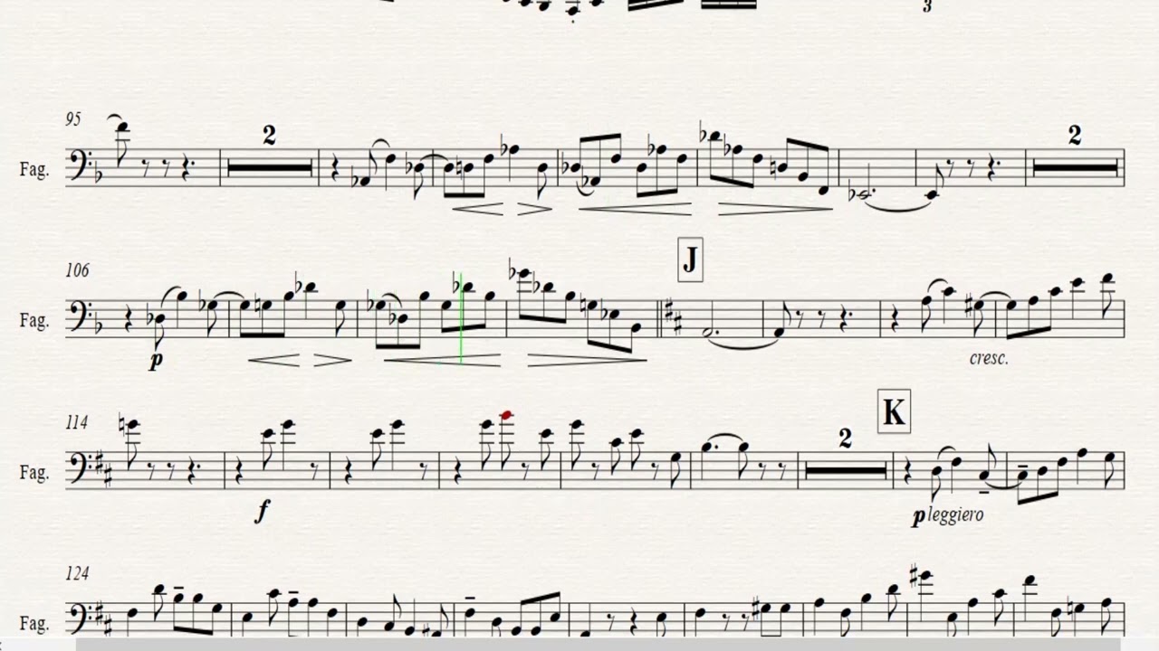 Solo de Concert Bassoon and Piano Op 35 practice