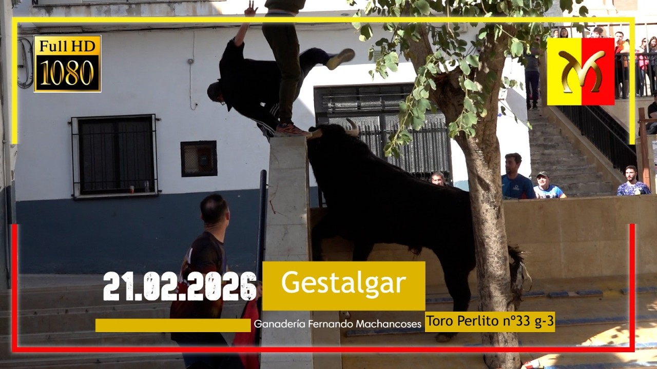 Gestalgar 21/ 02 /2026 ▪️Ganadería de Fernando Machancoses