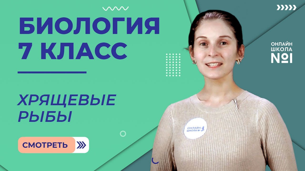 Хрящевые рыбы. Урок 19. Биология 7 класс