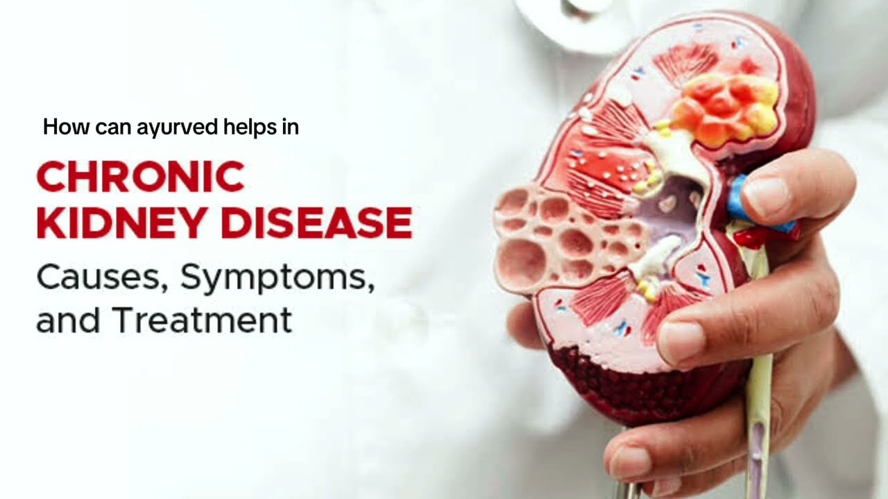 Chronic Kidney Disease: Symptoms, Causes & Treatment Explained | Ayurvedic Treatment | Arogyadham 