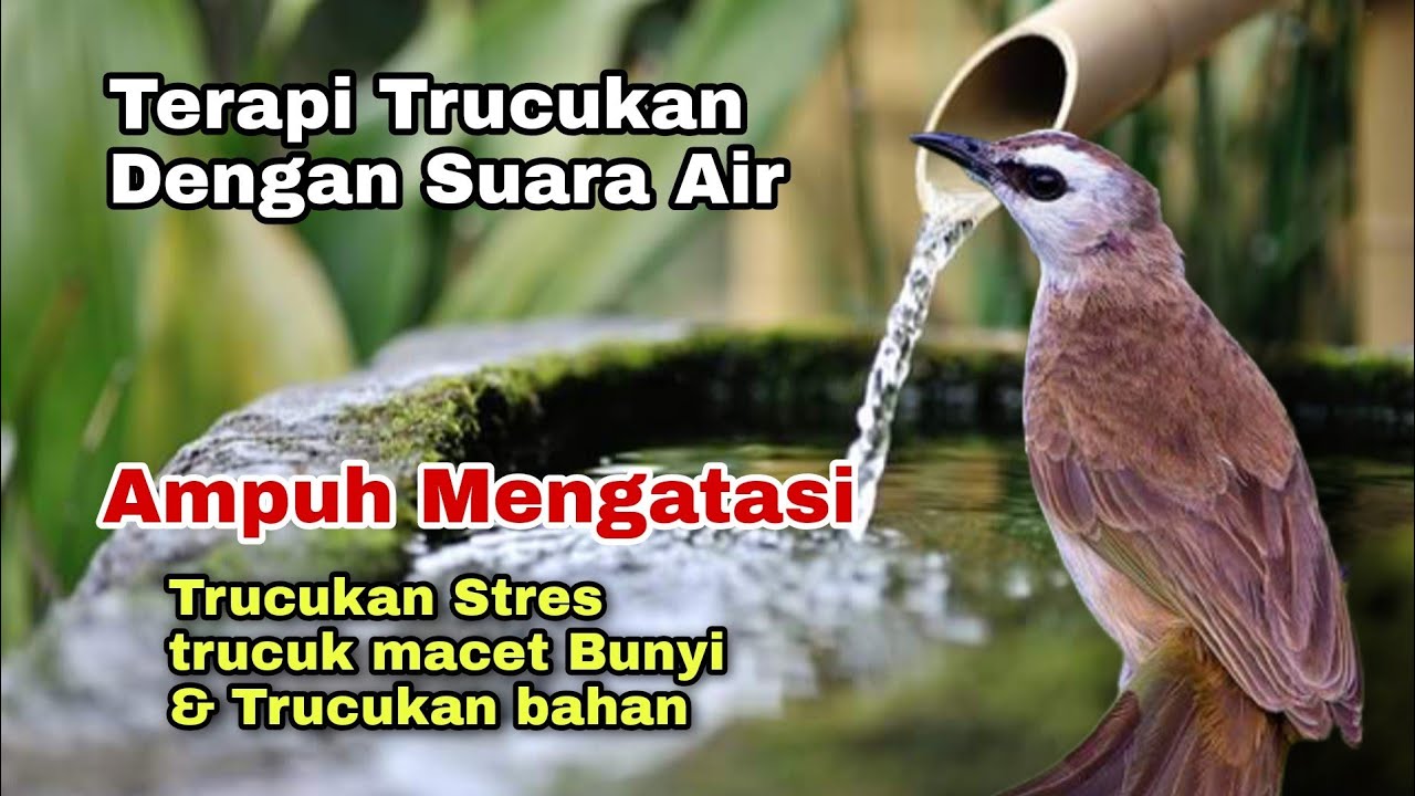 Terapi TRUCUKAN BAHAN - terapi TRUCUKAN STRES macet Bunyi dengan SUARA AIR MENGALIR