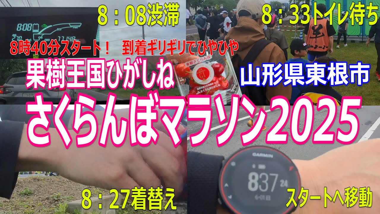 「ギリギリ到着」果樹王国ひがしねさくらんぼマラソン2025走ってきた！！（山形県東根市）