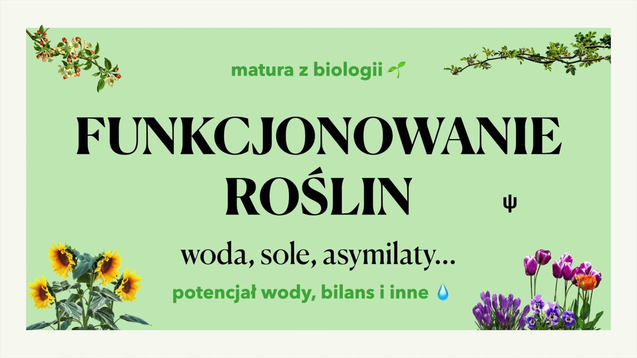 #31.4 - Funkcjonowanie roślin - woda, sole, asymilaty 💧 matura z biologii 📕 liceum
