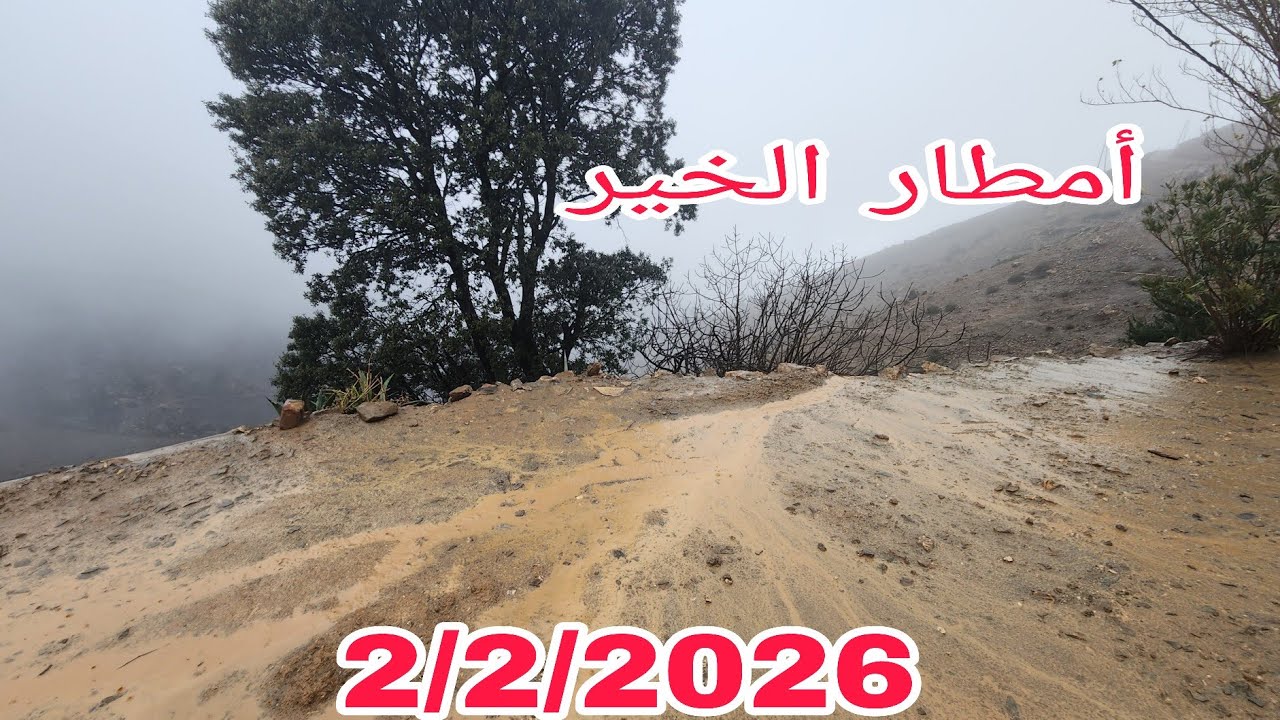 الأن أمطار الخير والبركة في جبال الريف 