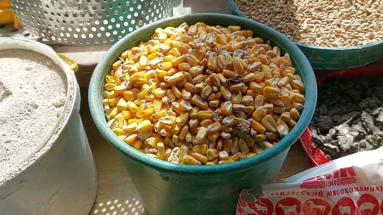 КОМБИКОРМ НЕСУШКА-СВОМИ РУКАМИ 01.10. 2023 ГОД