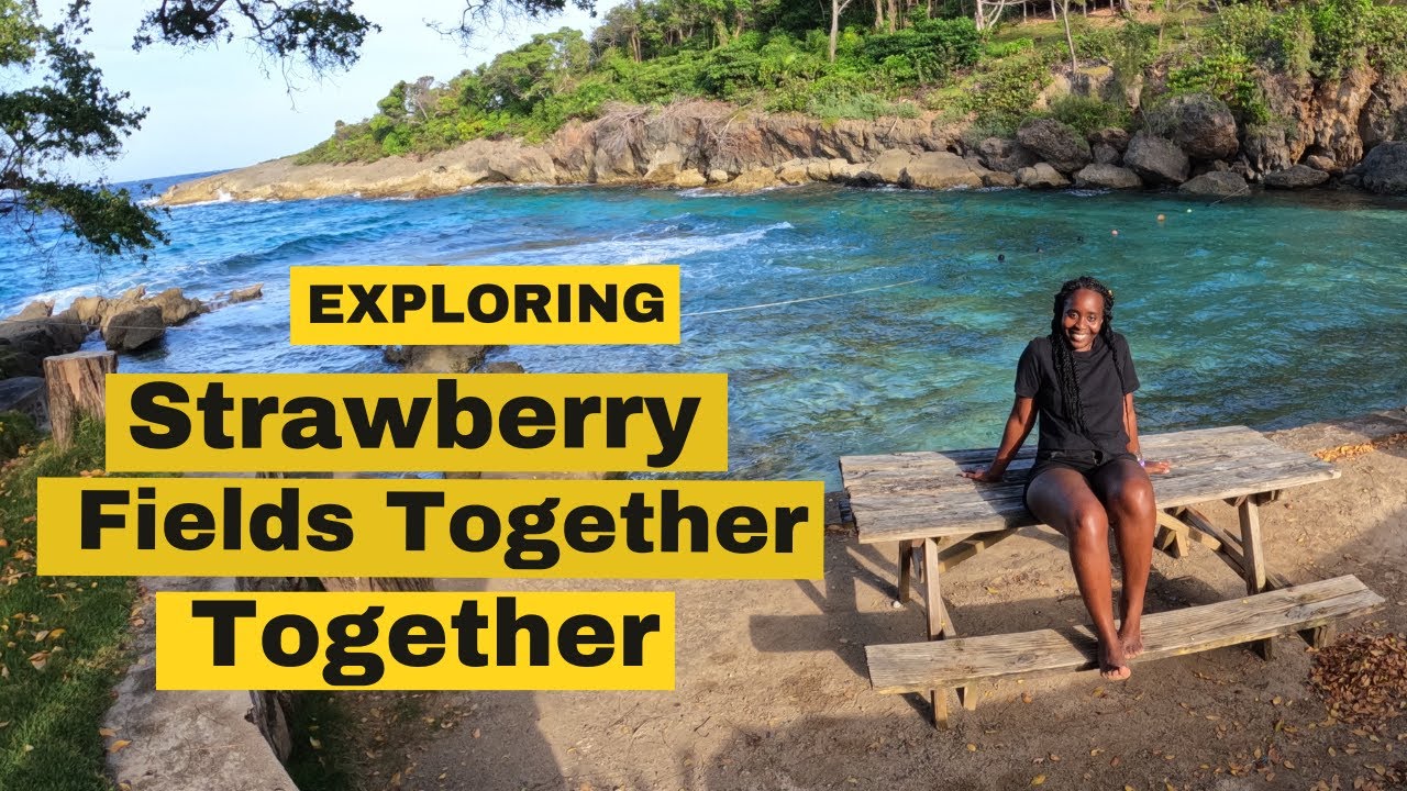 Strawberry Fields in St. Mary Jamaica - an affordable hidden gem #fyp #jamaica #visitjamaica