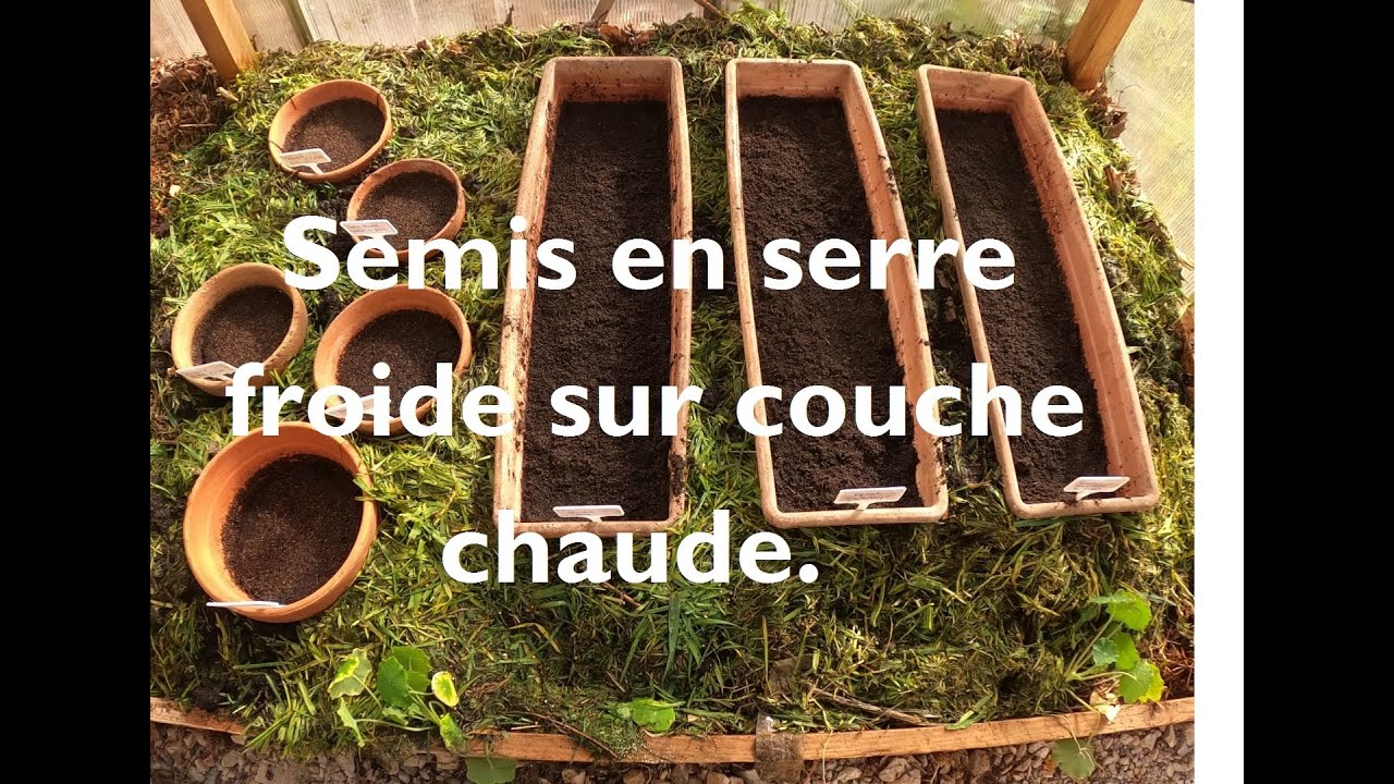 Semis sous serre froide  sur couche chaude.