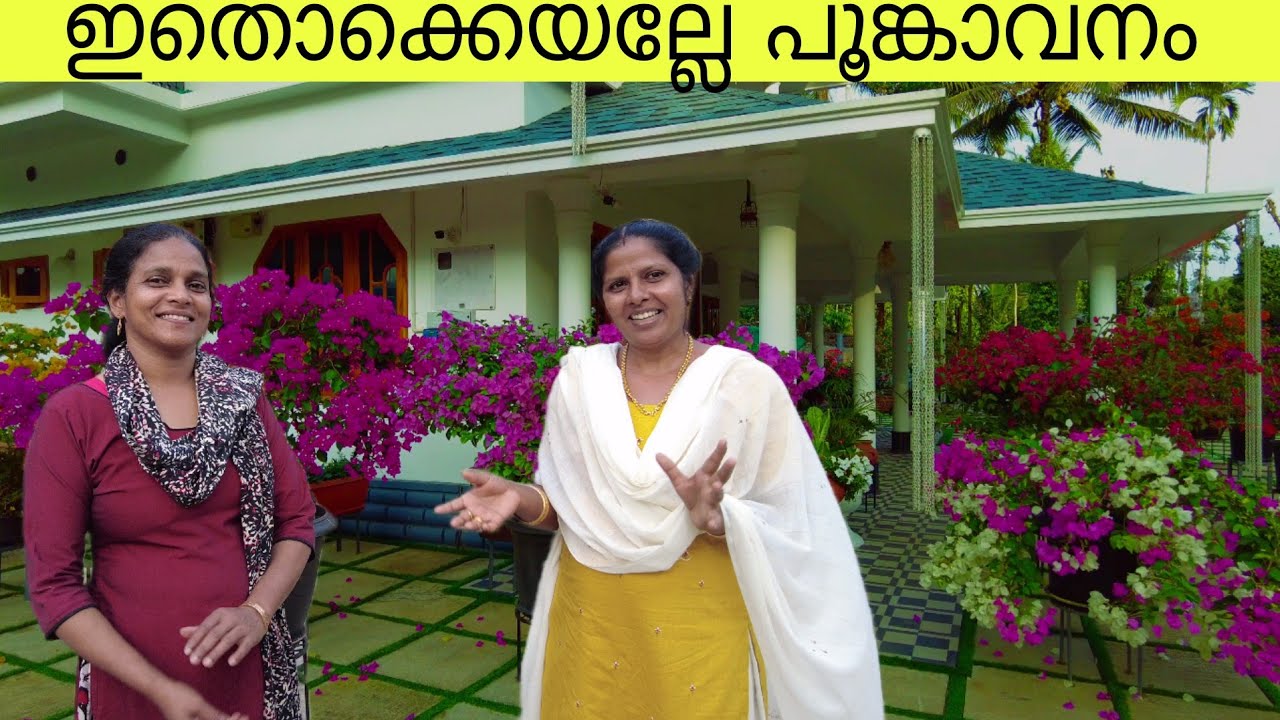 ഇതൊക്കെയല്ലേ പൂങ്കാവനം | best flower plants to grow at home malayalam | #nature #kerala  #garden