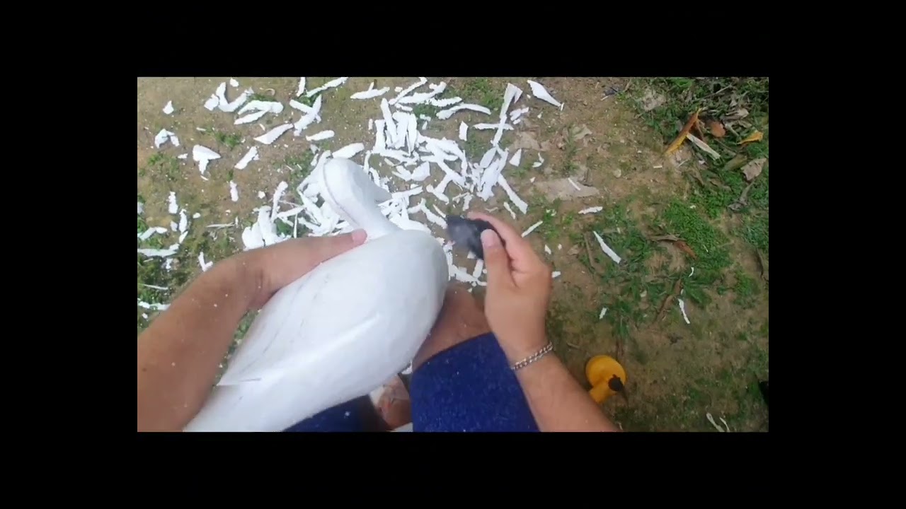 Chamariz de pato asa branca, passo a passo.