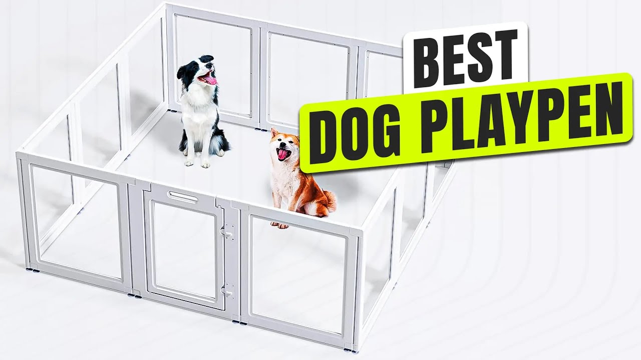 Top 3 BEST Dog Playpen
