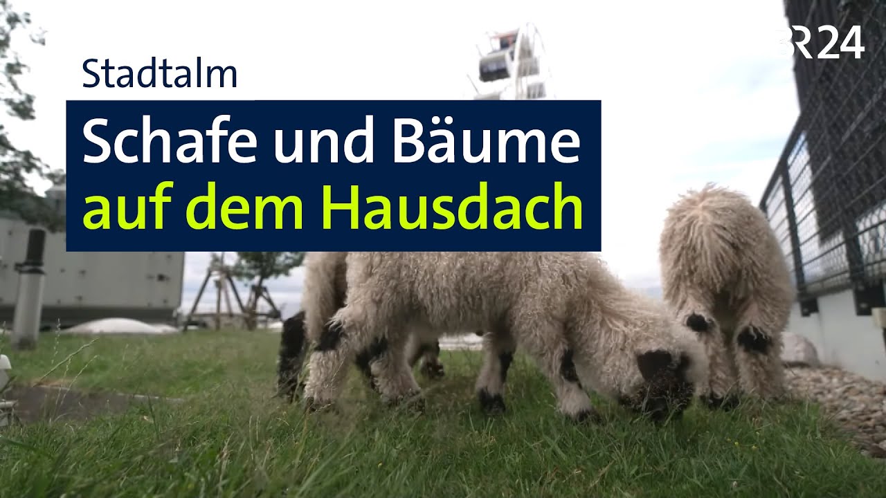 Natur in der Großstadt: Die Münchner 