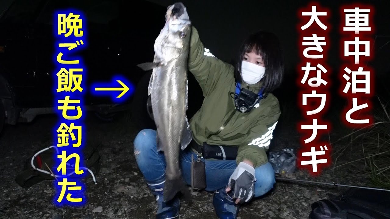 【車中泊】野営をしてたら大きなウナギ！ジムニーと休日小冒険！