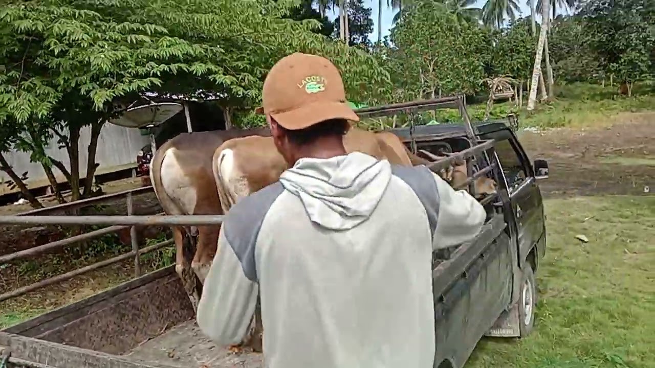 semoga nyaman bersama tuan yg baru