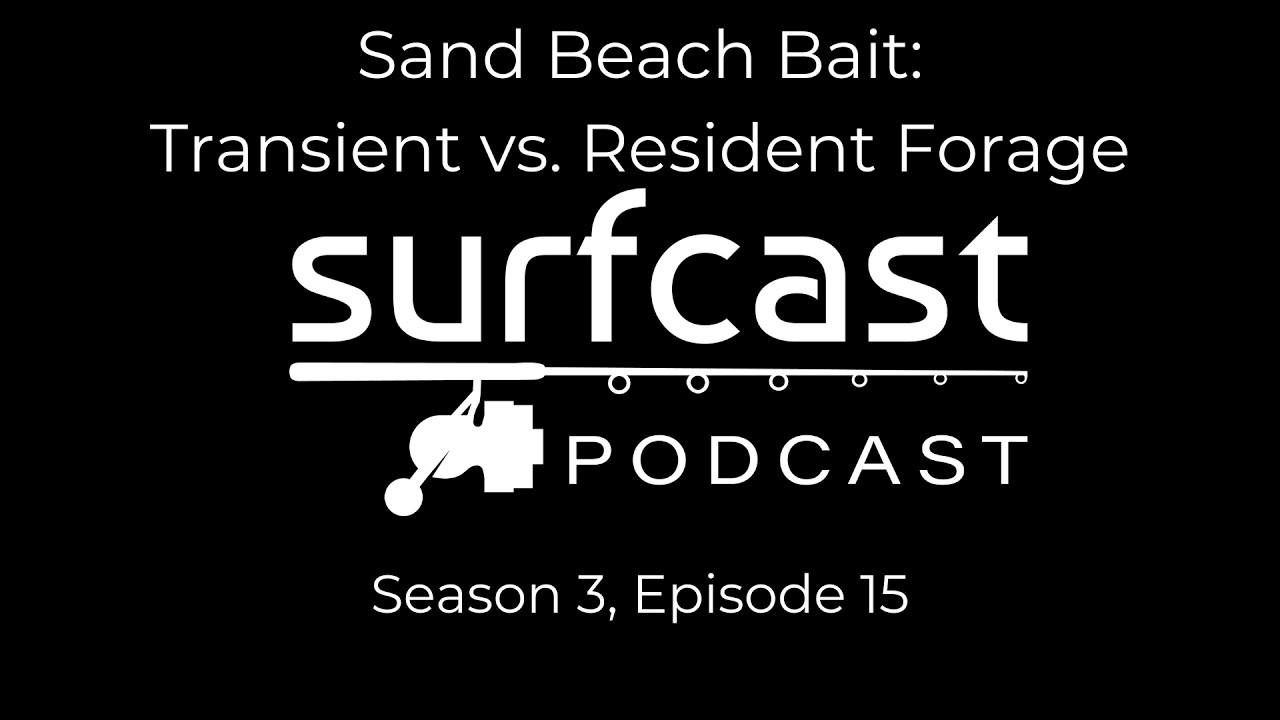 S3 E15 | Sand Beach Bait: Transient vs. Resident Forage