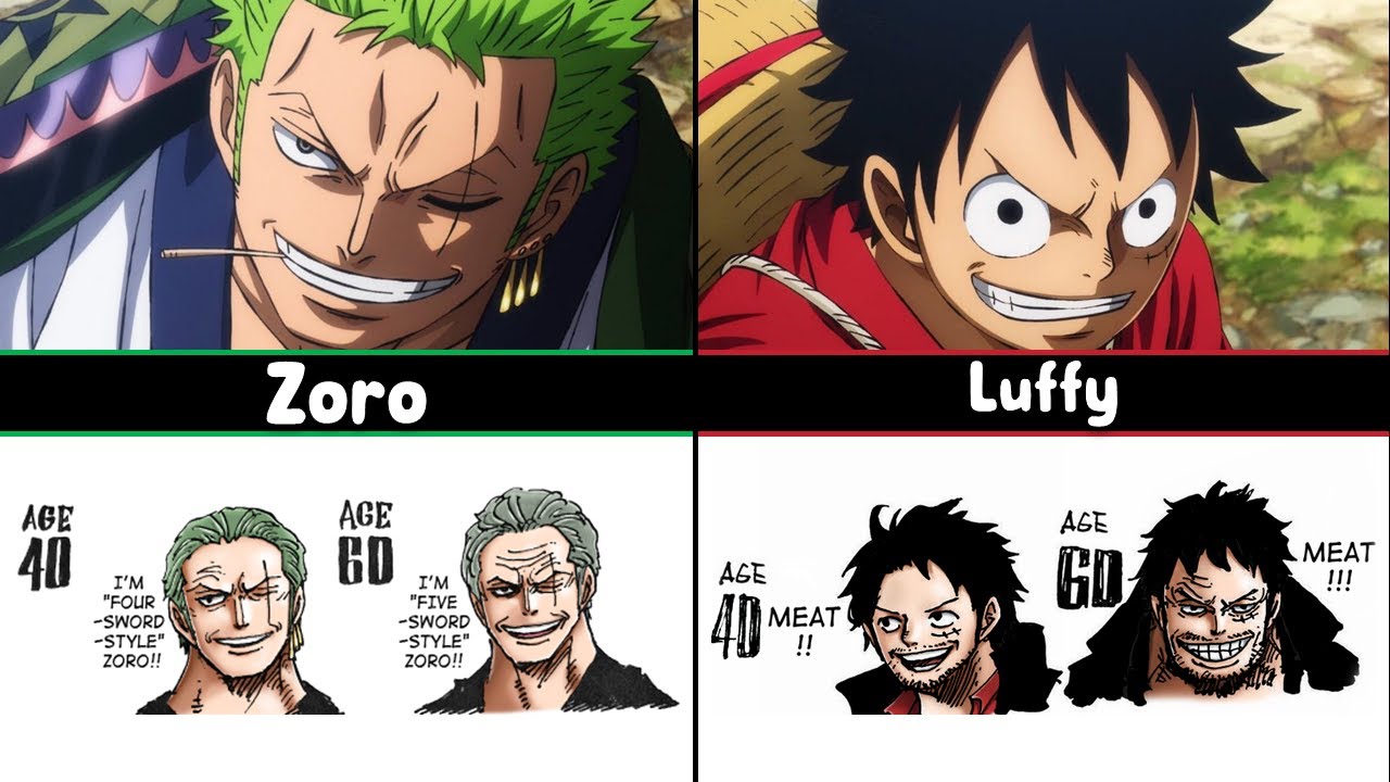Straw Hat Pirates at Old Age | 40-60 Years Old - One Piece