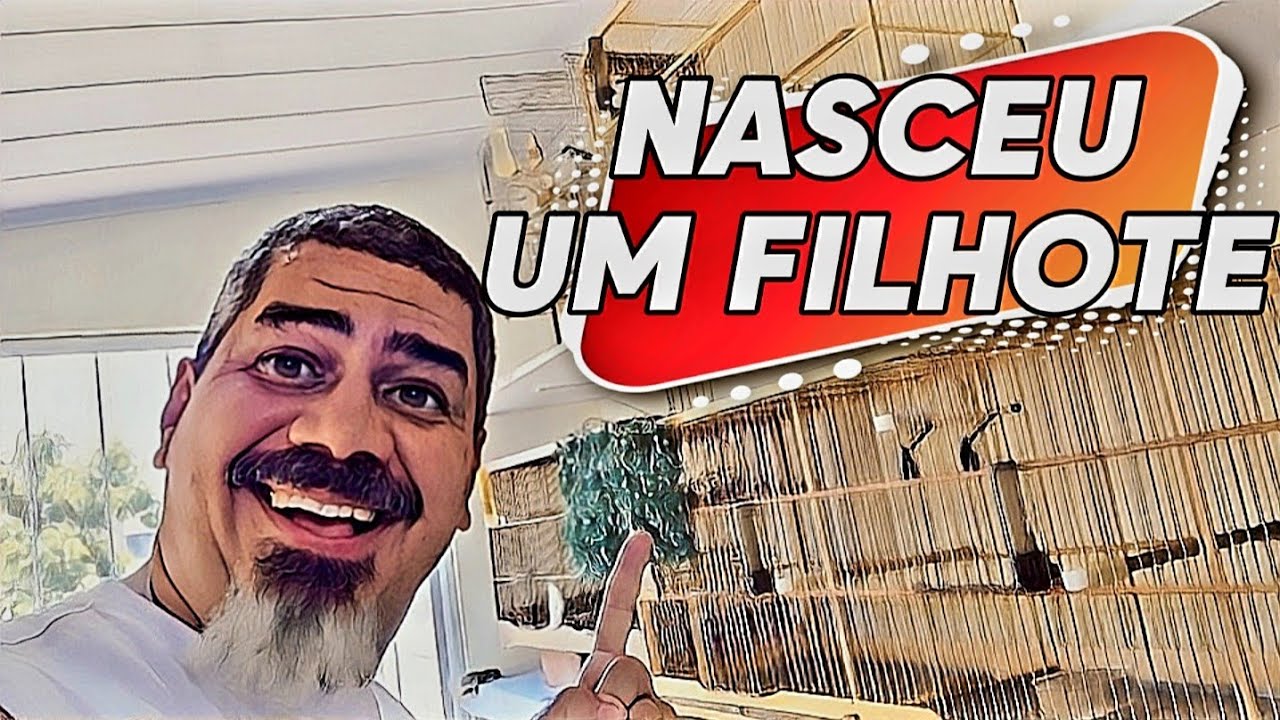 OS ATAQUES A NOSSA CLASSE CONTINUAM