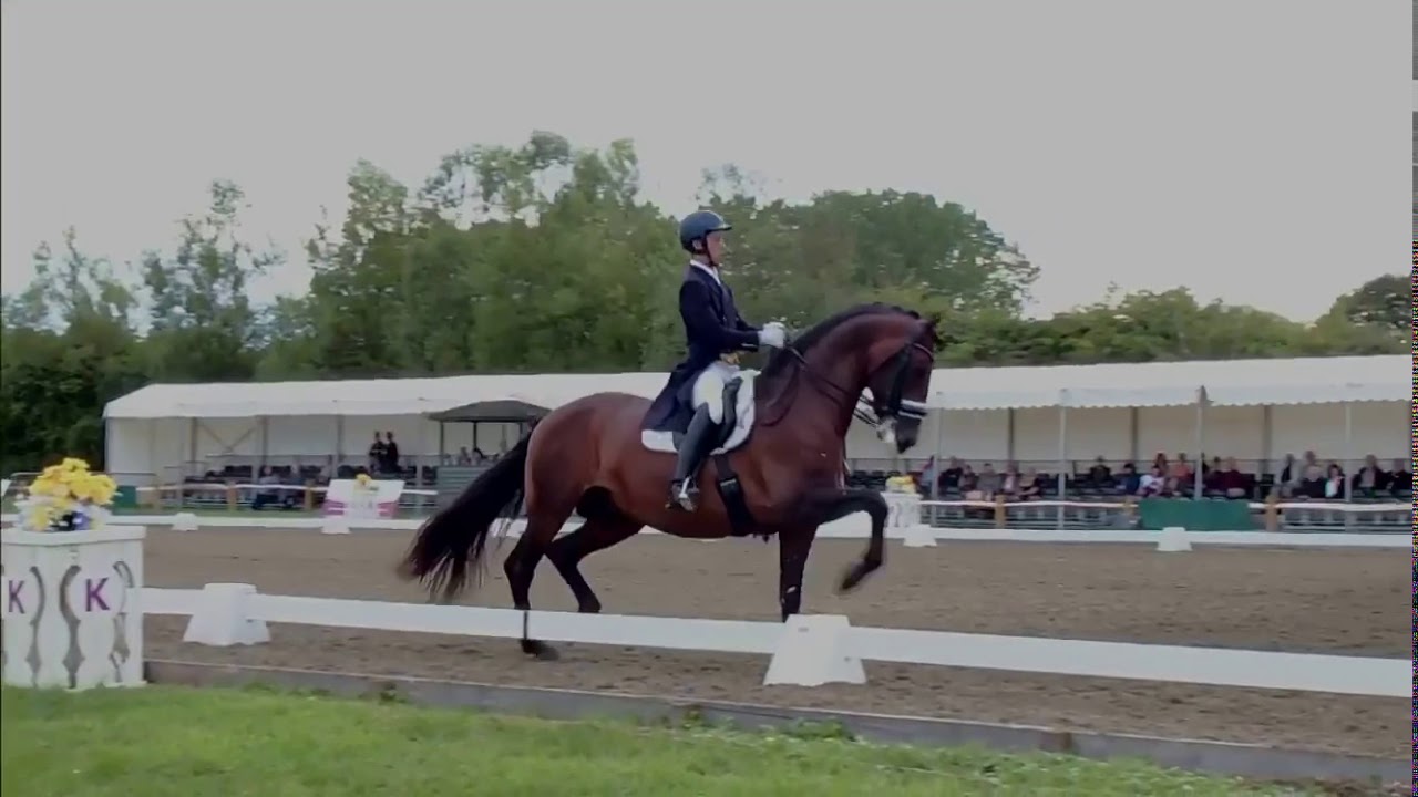 2019-07-27 - João Torrão e Equador - Hickstead Grand Prix Special 75.8%