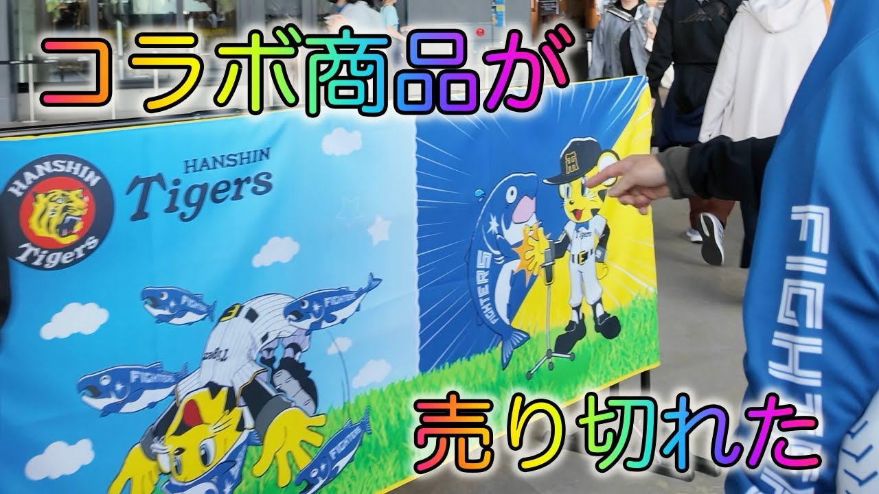 エスコンフィールド北海道・阪神タイガースとの交流戦最終目、日ハム大敗して完全に虎党ホームに