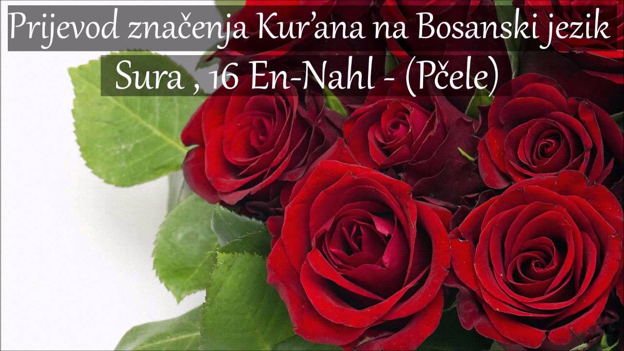 Sura 16 , En-Nahl -  (Pčele) Prijevod na Bosanski [HD]