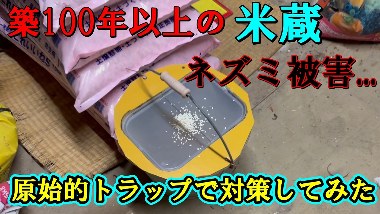 【築100年以上の米蔵のネズミ被害...】既製品のトラップが効かなくなってきたので、原始的な落とし穴トラップを製作してみた！効果あるかな...