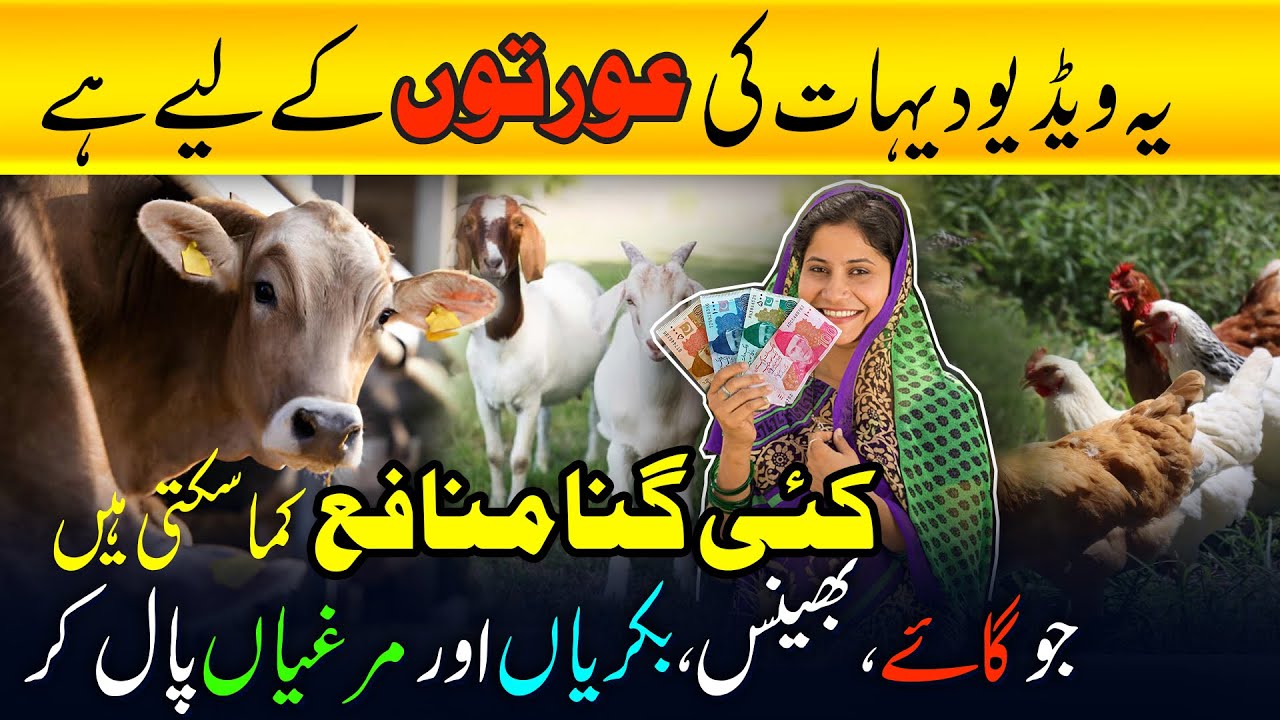 Rural Women Livestock & Goat Management Guide | Dehati Aurton ke liye Janwar aur Bakri Palna |
