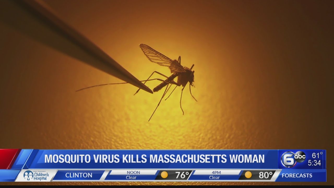 Massachusetts woman dies of mosquito-borne virus