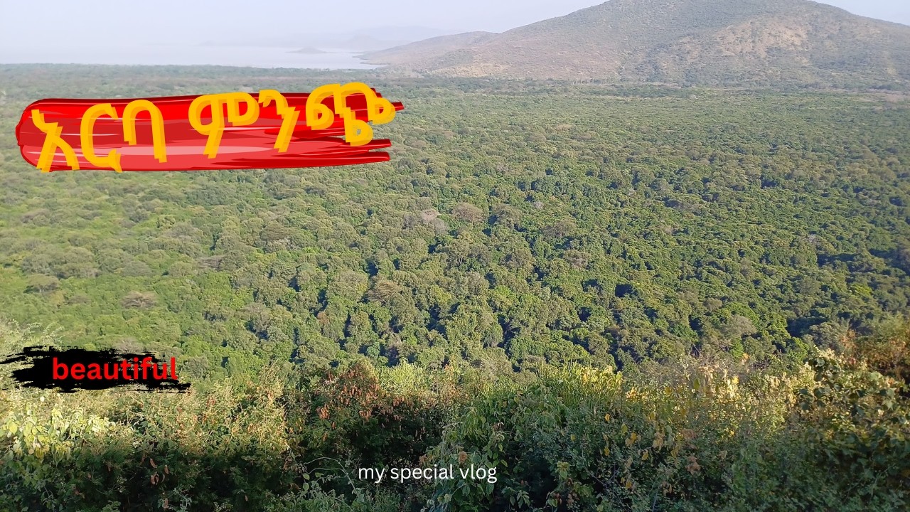 my vlog to Arba Minch  ጉዞ ወደ አርባ ምንጭ