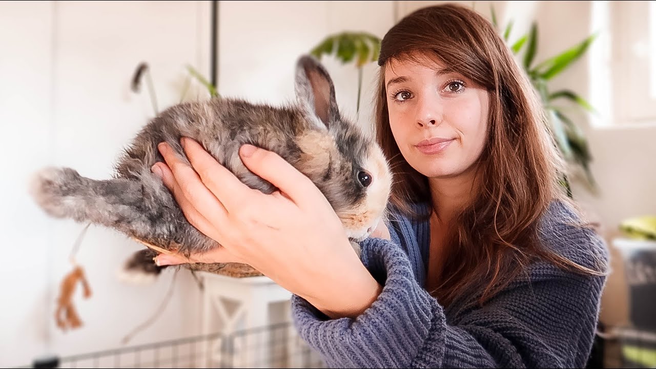 Ik heb 2 gehandicapte konijnen opgevangen