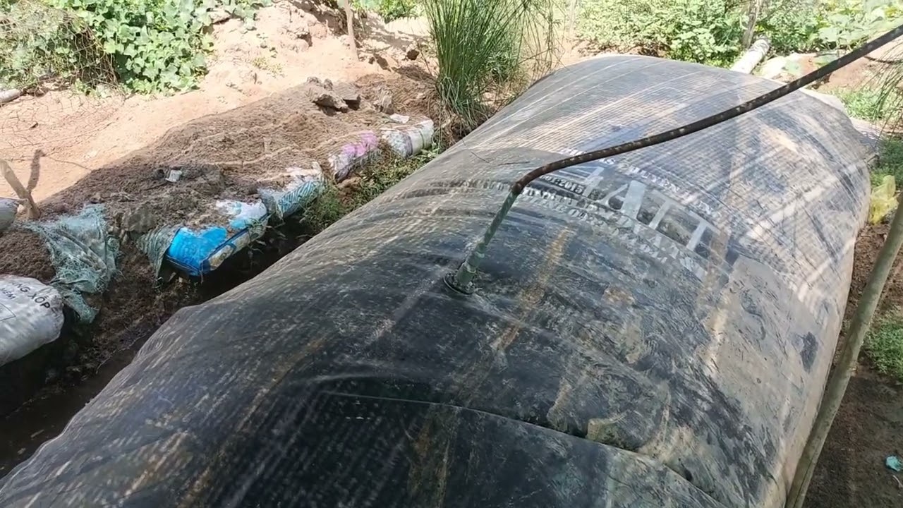 Mô hình Túi BiogasATT nhà anh Trại Gà Út Thi Cai lậy Tiền Giang