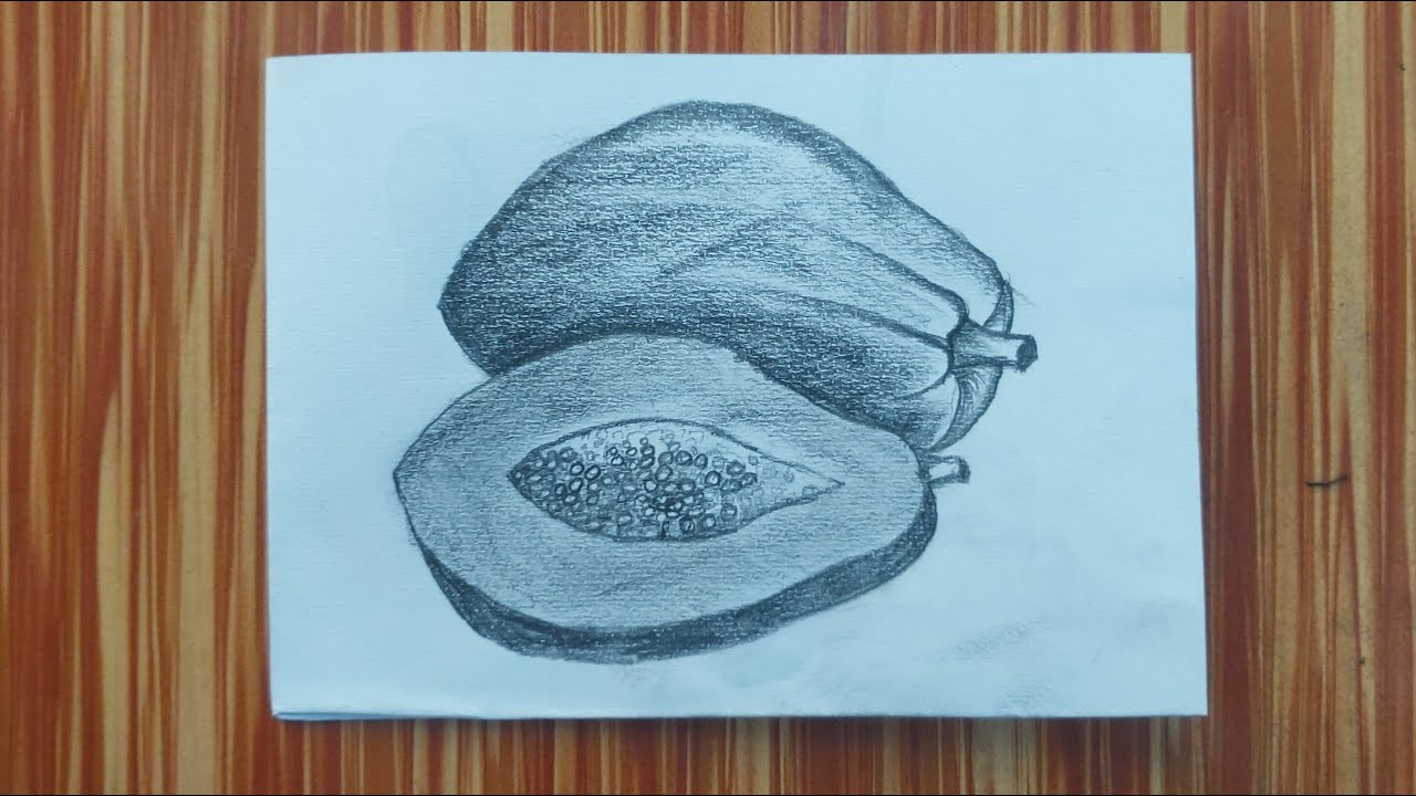Realistic Papaya Pencil Drawing | Easy Fruit Sketch for Beginners | Asma Pencil Art