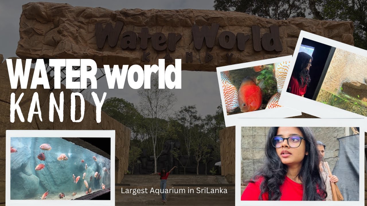 අපි නුවර තියෙන water world එක බලන්න ගියා🐠|ඊයේ open කරේ🫣|ලංකාවේ විශාලතම මින් මැදුර🐟|KANDY  |Dec20