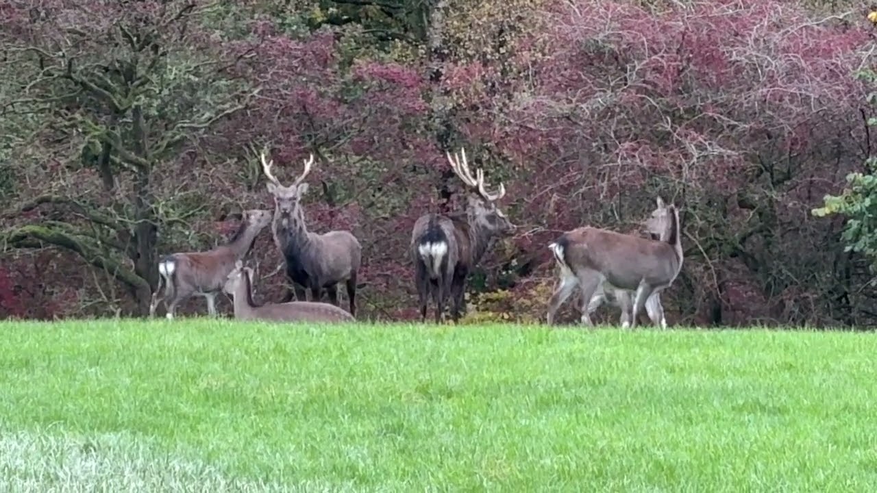 Sika October 2025