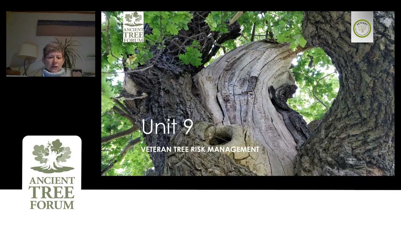 consulting unit 8 9 1080p