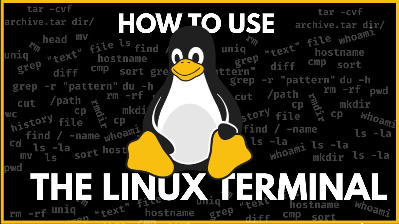 LINUX TERMINAL (30 MOST USEFUL COMMANDS)[2025]