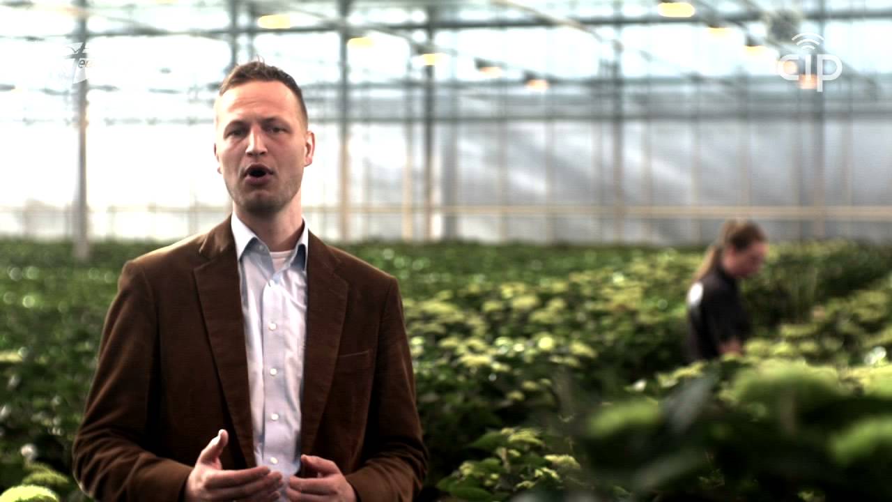 23   Geestelijk verder groeien   Geboren om te groeien