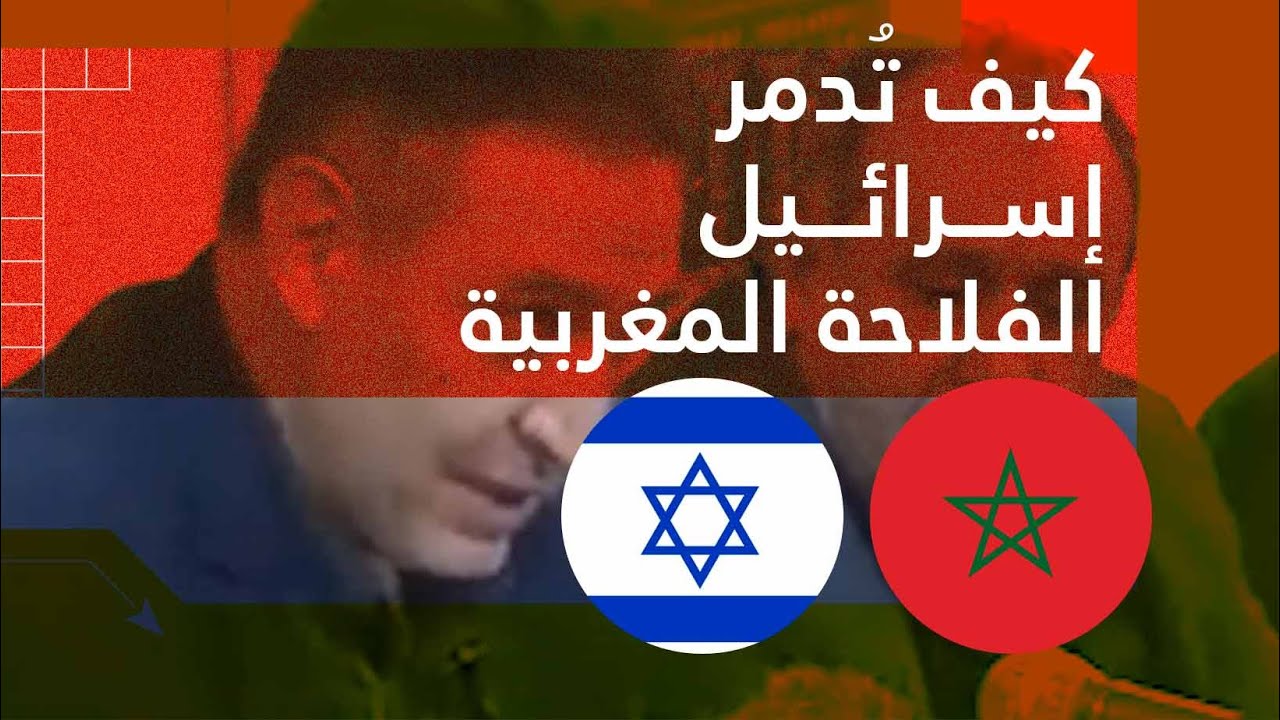 معطيات صادمة.. أستاذ جامعي يكشف كيف دمرت إسرائيل الفلاحة المغربية وتُسيطر على الإنتاج