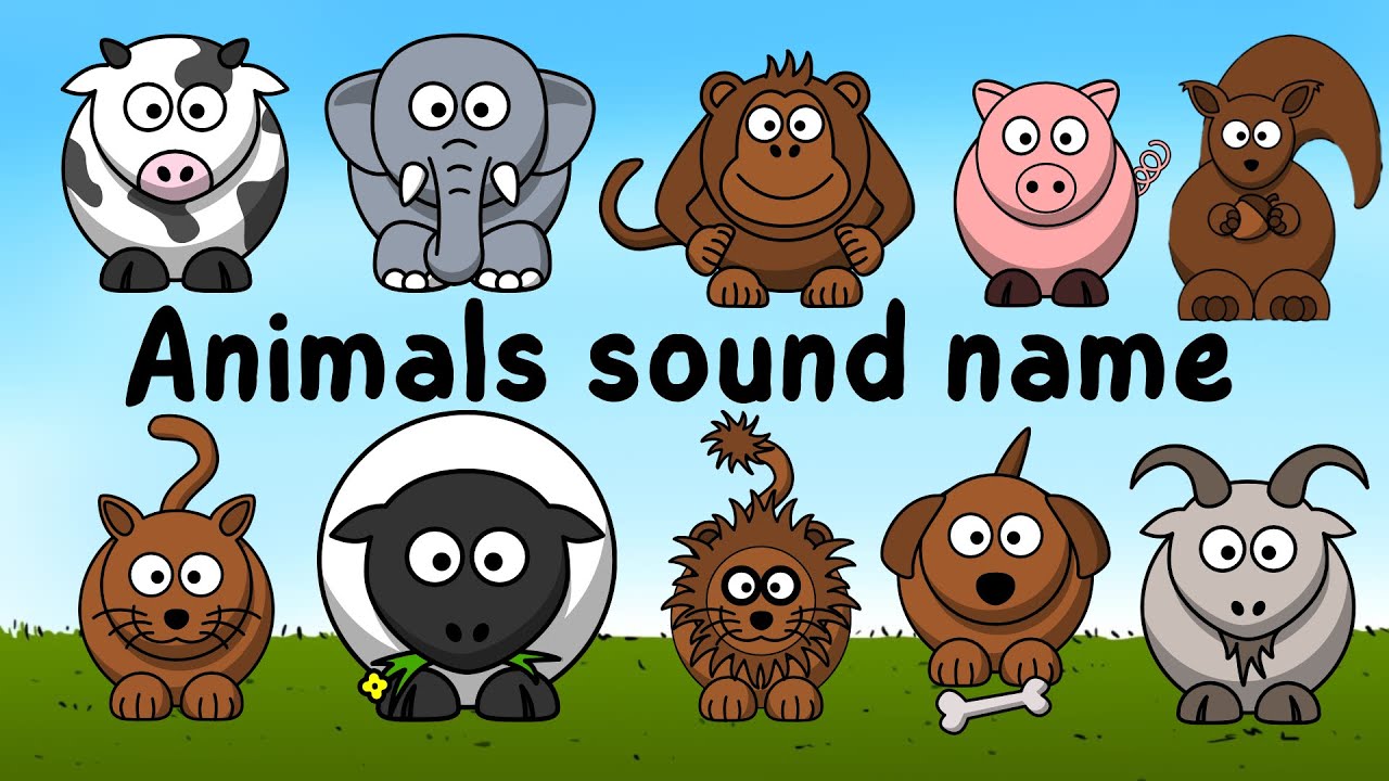 Animals sound name: Horse, cat, gorilla, dog, goat - Animals