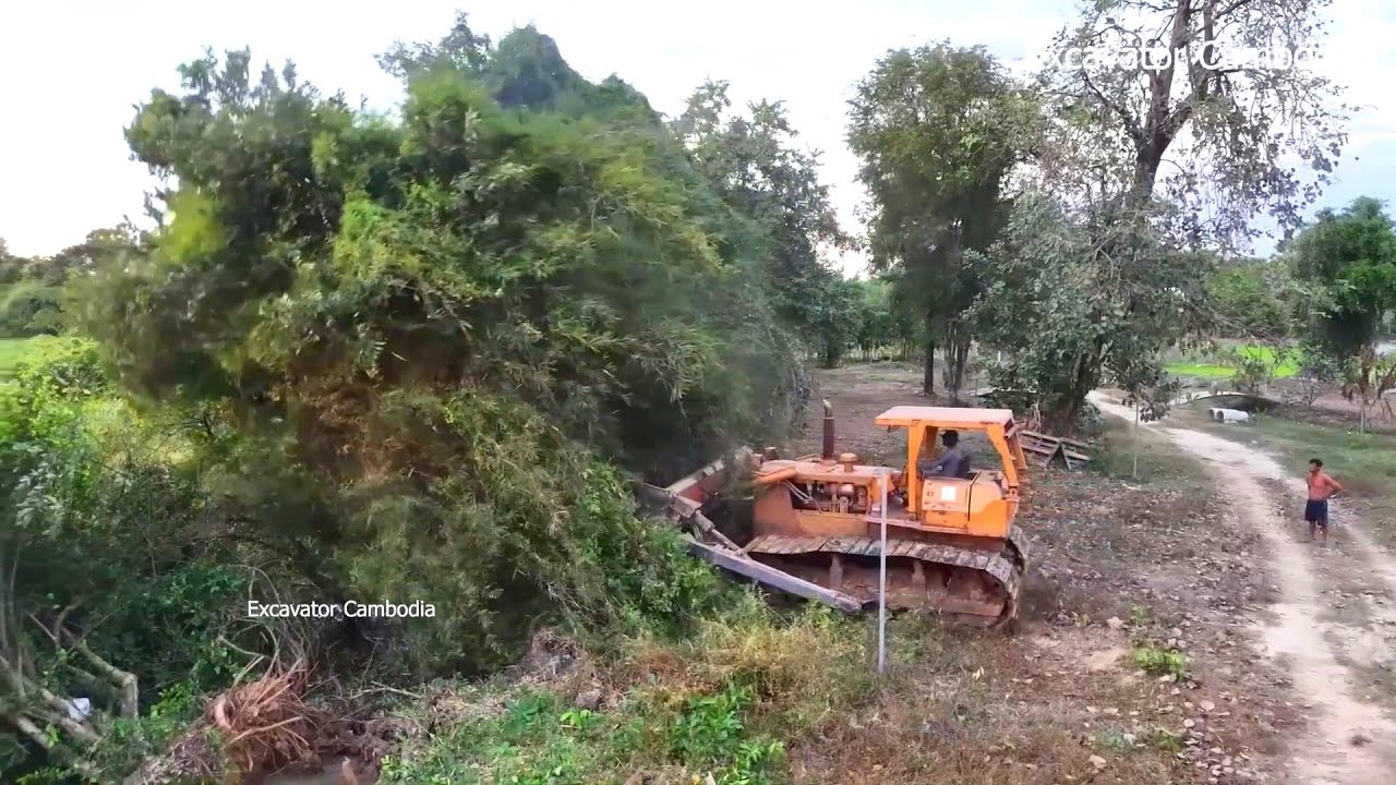 Amazing Huge Bulldozer Clearing Forest And Working Pushing Dirt Making Foundation Road Construction.