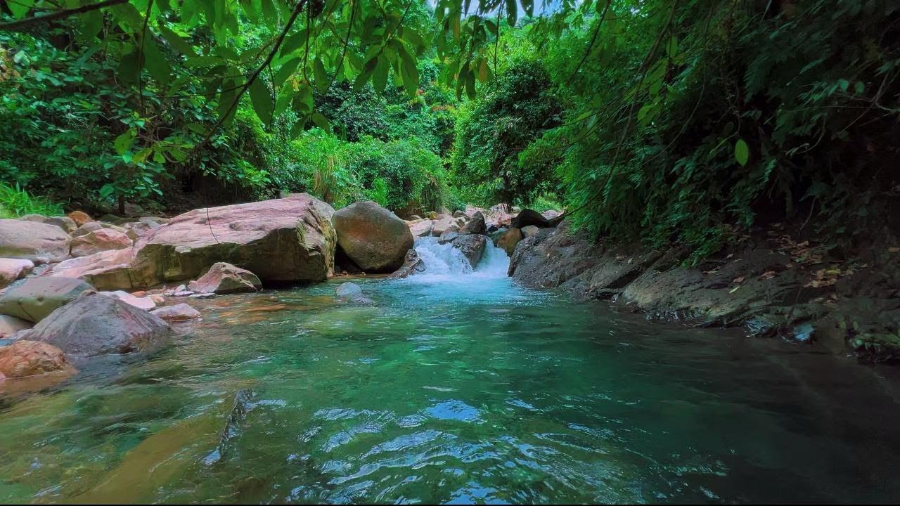 Mountain Stream Flowing 24/7. Forest Stream. Flowing Water. White Noise, Nature Sounds for Sleeping.