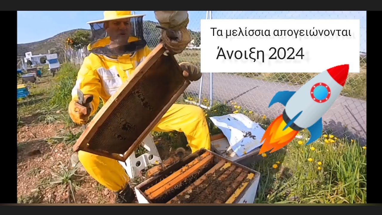 Εκρηκτική ανάπτυξη Μελισσίων. Άνοιξη 2024