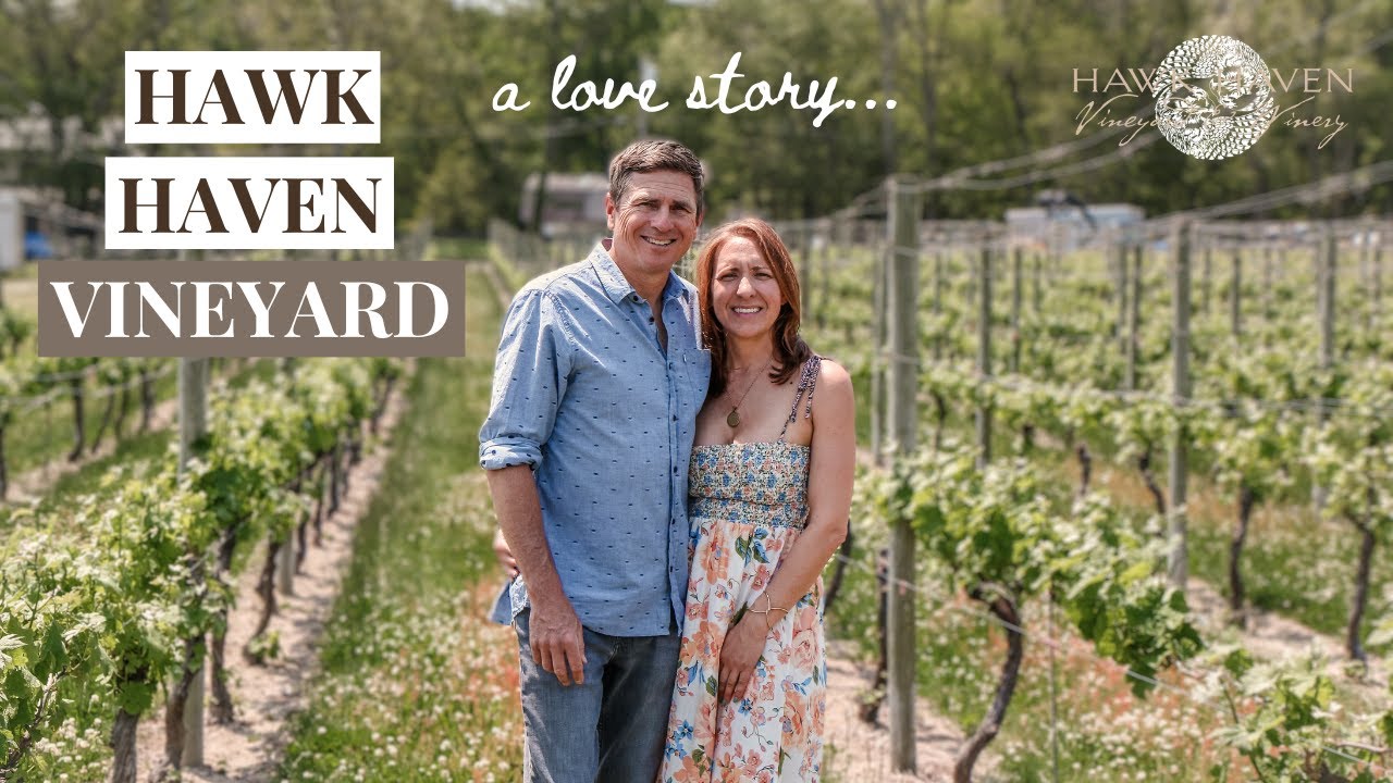 The Ultimate Vineyard Experience: Hawk Haven Vineyard & Winery's Unforgettable Story 🍷🍇